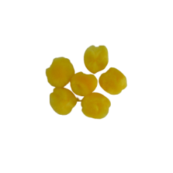 POMPON 25MM C/100 PIEZAS