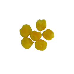 POMPON 25MM C/100 PIEZAS